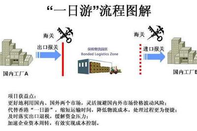 信力通 全球货物进出口的桥梁与引擎